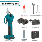 2 Batterien / EU / Frankreich