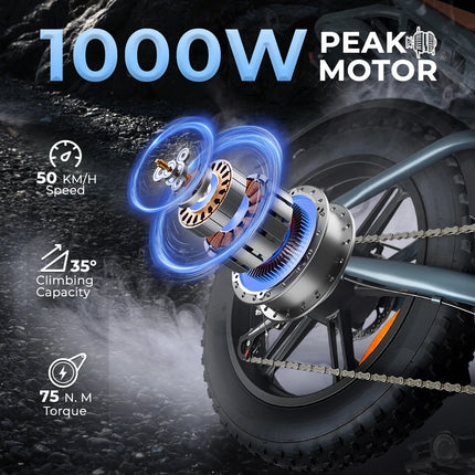 1500W Elektrisches Fat Tire Bike 48V 60AH Dual-Akku Carbonstahlrahmen mit Doppelstoßdämpfer-Federung