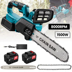 With 2XBattery / spain