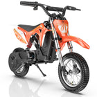 Electric Dirt Bike for Kids 250W Motor 25KM/H 36V Battery Front and Rear Suspension Off Road Ride