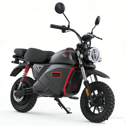 15 Zoll City E-Bike mit Doppelsitz 2000W 48V 18Ah Lange Reichweite 90km Pendler Motorrad Roller